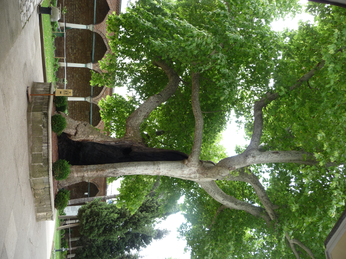 P1040321.JPG 3456x2592 index 77